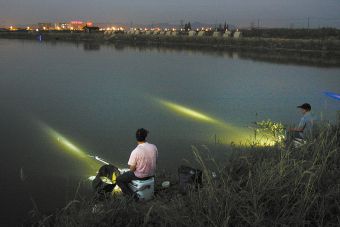 夜晚钓鱼怎么诱 水下灯光可以诱鱼吗