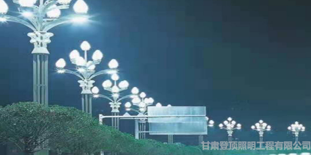 西宁乡镇太阳能路灯批发「甘肃登顶照明工程供应」