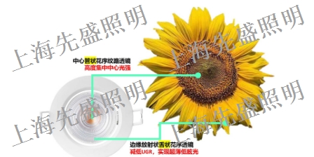 湖州灯具「上海先盛照明电器供应」